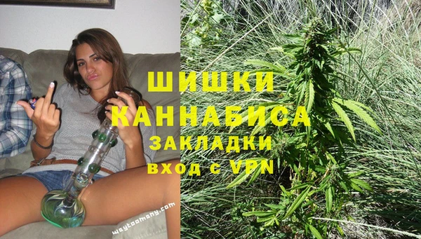 дживик Новозыбков