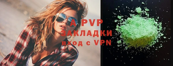 дживик Новозыбков