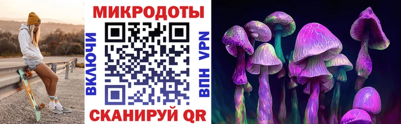 Псилоцибиновые грибы MAGIC MUSHROOMS  где найти наркотики  Кукмор 