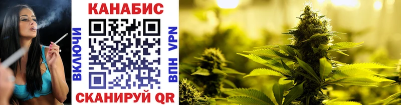 Конопля Bruce Banner  Кукмор 